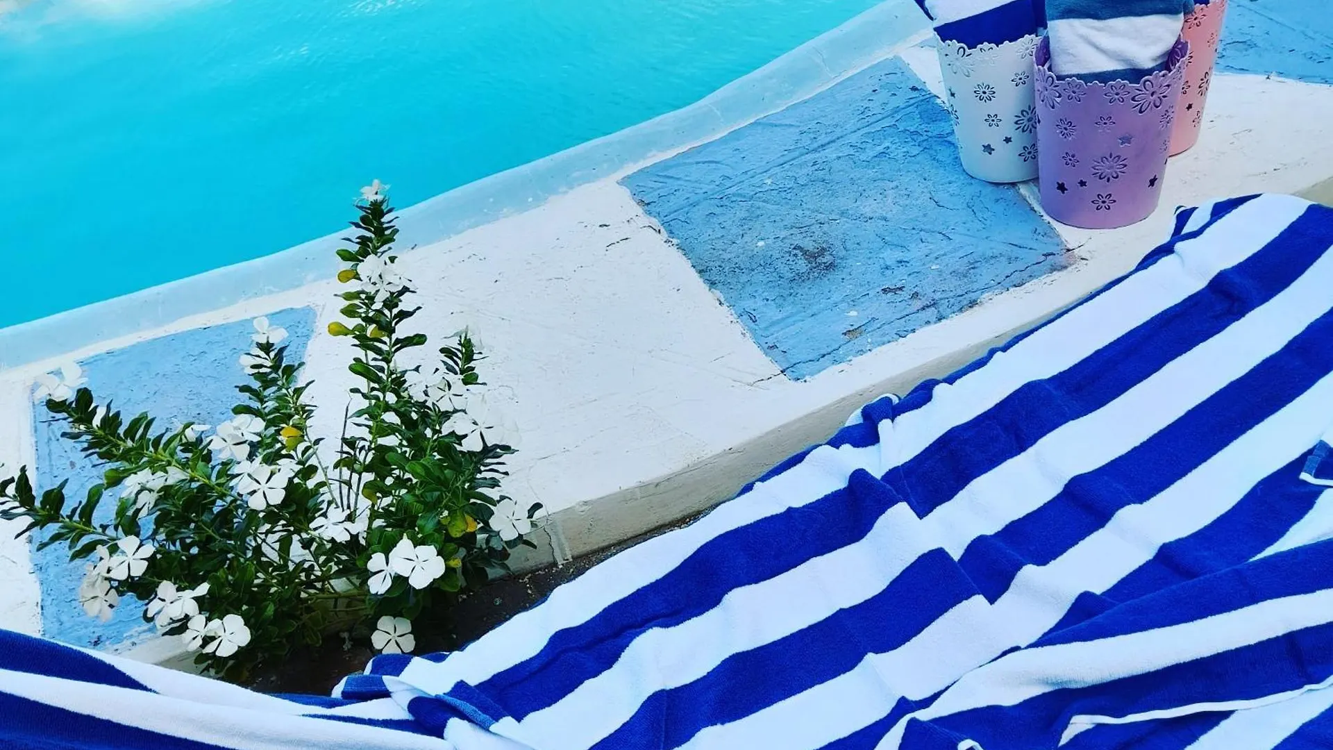 Apartment Sweetsop Jamaica Villa And Tour Montego Bay
